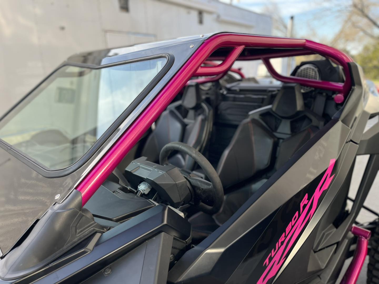 Pro R / Turbo R / Pro XP Roll Cage - Custom